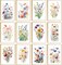 24 Floral Blank Cards and Envelopes, 4x6 Wildflower Blank Note Cards for All Occasions - Sympathy Thank You Condolences Funeral Thinking of You Mother's Day Wedding Graduation, Etc